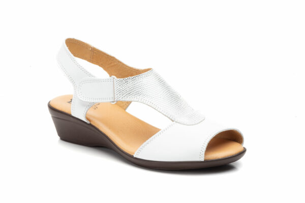Mo305 BLANCO 35 41 14.90E35