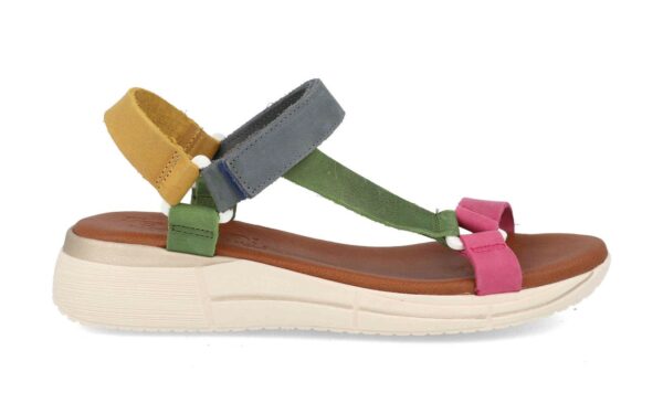 54238 MULTICOLOR 35 41 20E