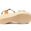 10035 Camel 35 41 17.90 1