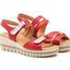 MºAE- ROJO - .€----