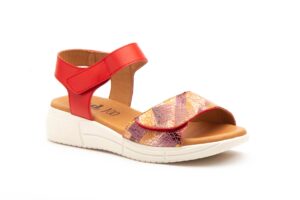 MºDSD- ROJO - €-