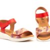 MºDSD- ROJO - €